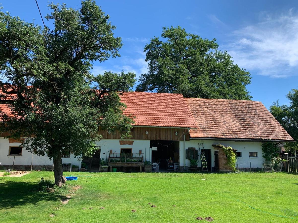 Apartamento Kellerstöckl am veganen Bio-Lebenshof Varm - die vegane Farm - nur für Hundefreunde und Naturliebhaber empfohlen !! Sulb Exterior foto