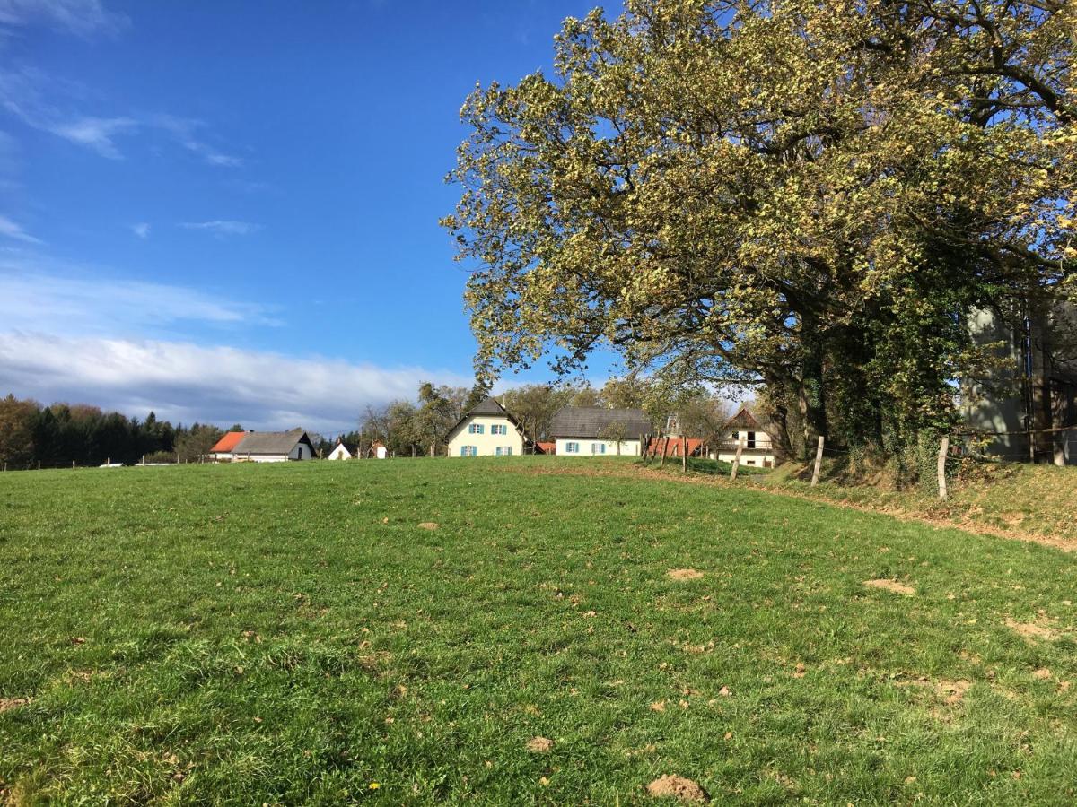 Apartamento Kellerstöckl am veganen Bio-Lebenshof Varm - die vegane Farm - nur für Hundefreunde und Naturliebhaber empfohlen !! Sulb Exterior foto