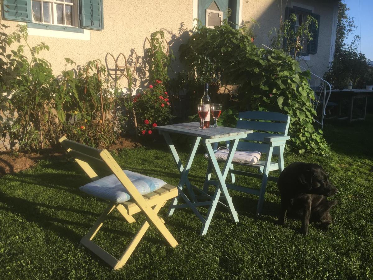 Apartamento Kellerstöckl am veganen Bio-Lebenshof Varm - die vegane Farm - nur für Hundefreunde und Naturliebhaber empfohlen !! Sulb Exterior foto