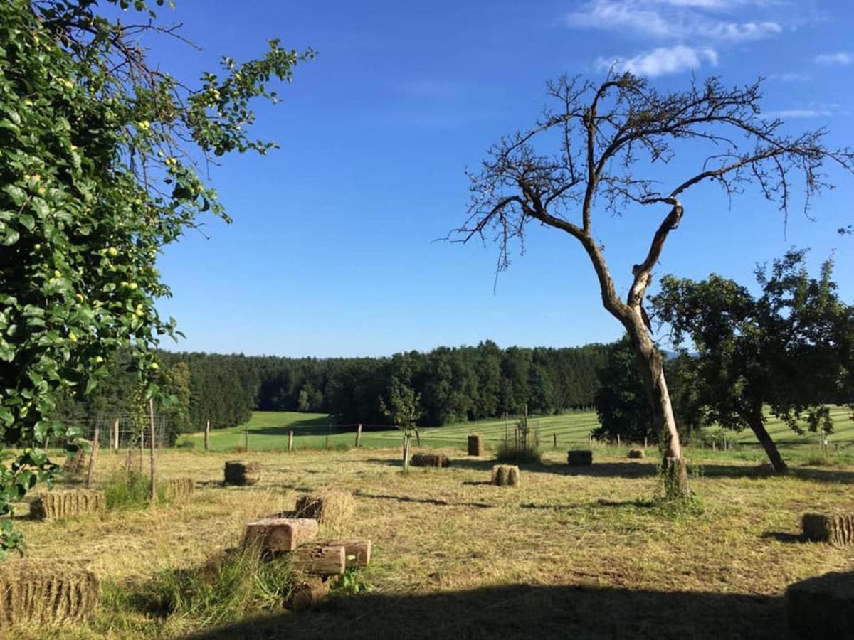 Apartamento Kellerstöckl am veganen Bio-Lebenshof Varm - die vegane Farm - nur für Hundefreunde und Naturliebhaber empfohlen !! Sulb Exterior foto