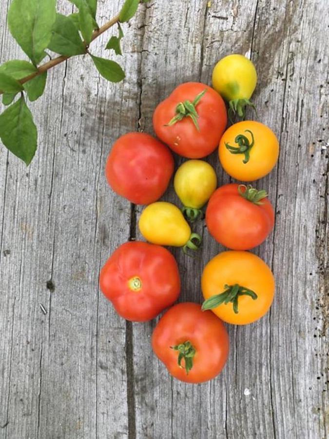 Apartamento Kellerstöckl am veganen Bio-Lebenshof Varm - die vegane Farm - nur für Hundefreunde und Naturliebhaber empfohlen !! Sulb Exterior foto