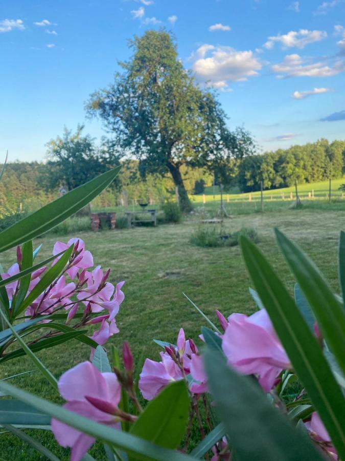 Apartamento Kellerstöckl am veganen Bio-Lebenshof Varm - die vegane Farm - nur für Hundefreunde und Naturliebhaber empfohlen !! Sulb Exterior foto